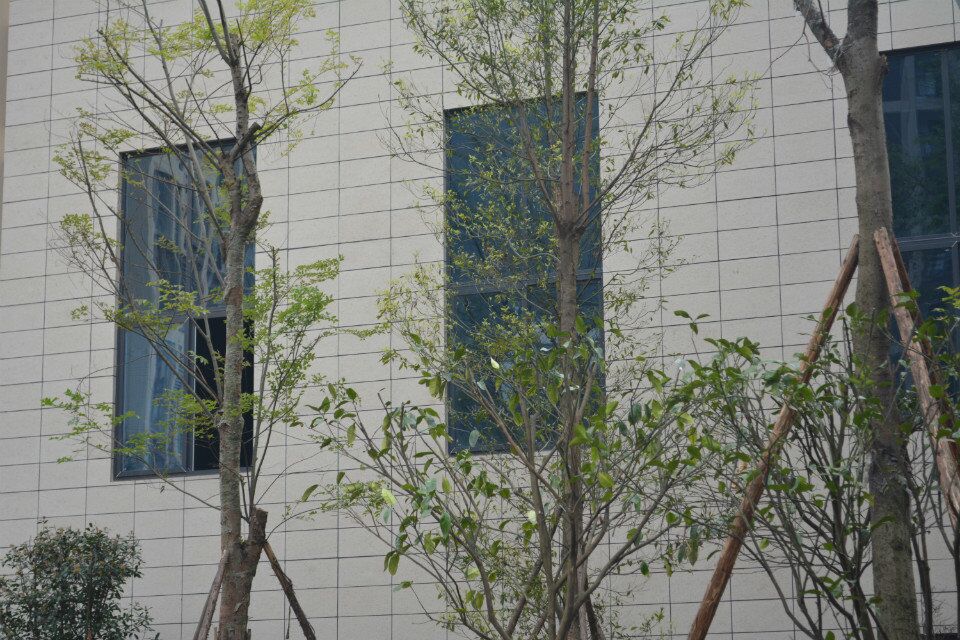 宜宾驰城·观澜上郡